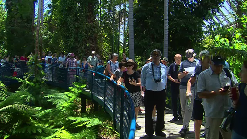 Crowds are flocking to Adelaide Botanic Gardens to catch a glimpse of the rare Indonesian 'Corpse Flower.'