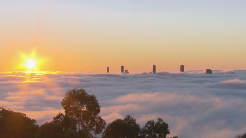 Thick layer of fog creating hazardous conditions for Brisbane commuters