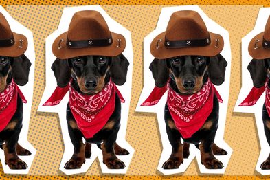 9PR: Yewong Pet Cowboy Costume with Hat and Bandana, Coffee coloured hat with red bandana