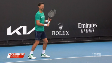 Debate rages over Novak Djokovic's visa cancellation 