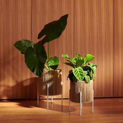 Lily planter stand: From $15