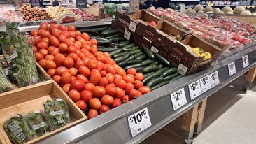 fruits and vegetables supermarket supplies