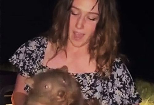 Sam Jones with wombat joey (samstrays_somewhere)