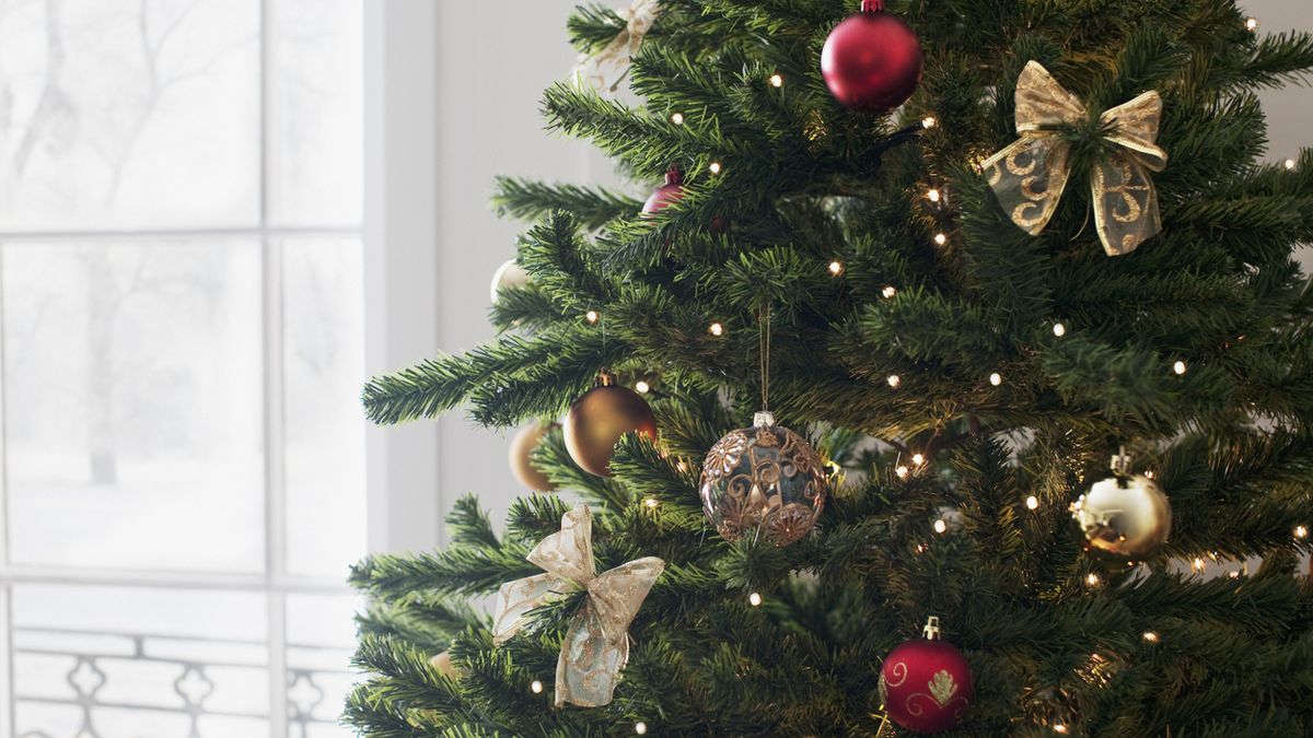 When To Put Up Your Christmas Tree Take It Down And Other Tips