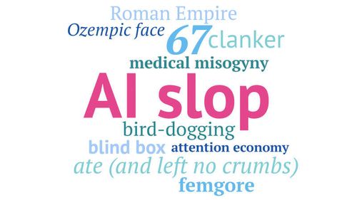 AI Slop has been named the Macquarie Dictionary Word of the Year.