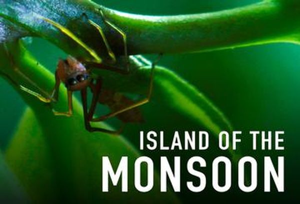 Island of the Monsoon