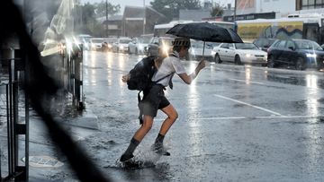 Mosman Heavy rain and flash flooding in Sydney&#x27;s north 