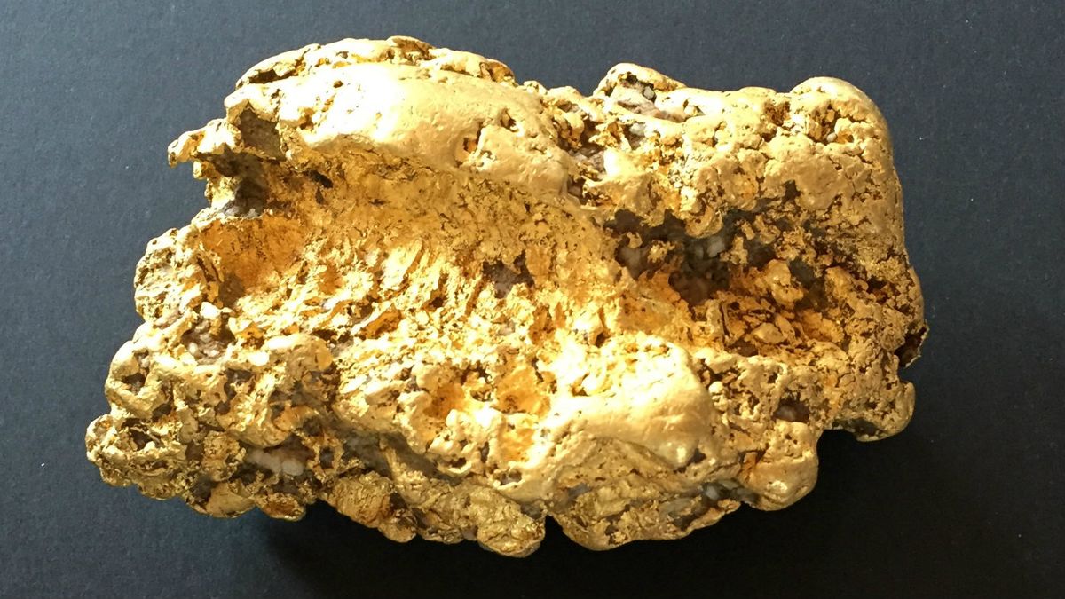 Gold nugget: Two-kilogram specimen worth $160,000 at Ballarat unearthed by prospector – News Victoria