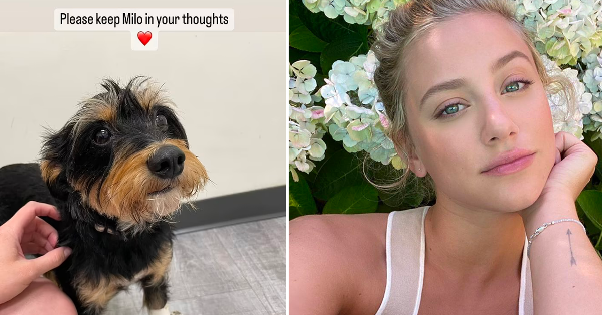 Lili Reinhart shares pics from animal hospital with her dog Milo after(01)