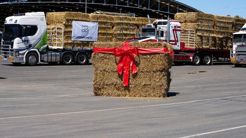 Hay drop Rural Aid