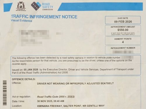 Tina è stata colpita da quattro multe per un totale di oltre $ 2000 e 24 punti di demerito.