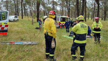 A 24-year old skydiver has suffered spinal injuries after crashing into a tree while landing from a skydive.
