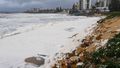 Bizarre sight on Sydney beach