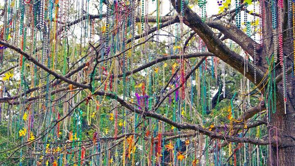 Tree covered in beads for Mardi Gras in New Orleans