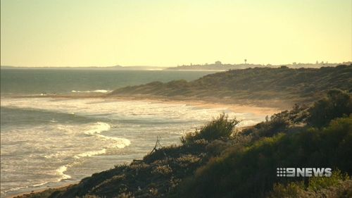 There have been 11 shark incidents recorded off WA's coast since December. (9NEWS)