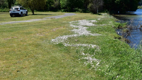 Debris was pushed over the foreshore at Lake Taupō by a suspected tsunami.