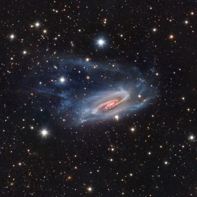 NGC 3981 by Bernard Miller