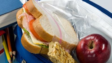 School lunch sandwhich on white bread with apple