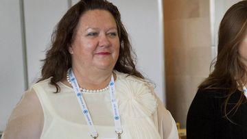 Gina rinehart afr rich list with children