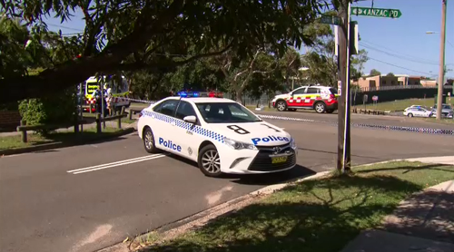 Police have cordoned off a section of Anzac Parade and a report will be prepared by the coroner.