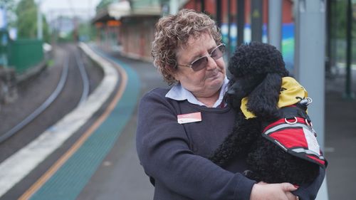 Bentley the mental health assistance dog supporting NSW transport staff.
