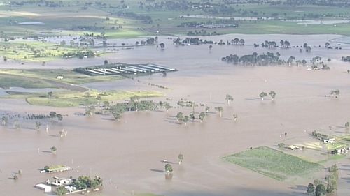 The Logan River reached 14.76m just after 5.30am. (9NEWS)