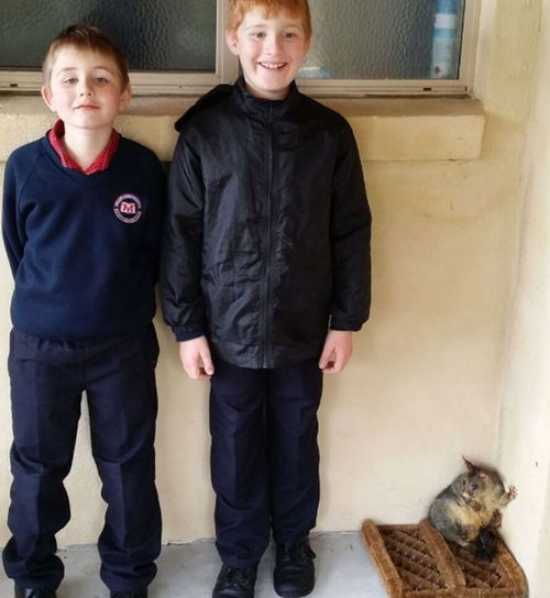 Eli and Thomas Cole with their new pet.(Photo: Alex Cole)
