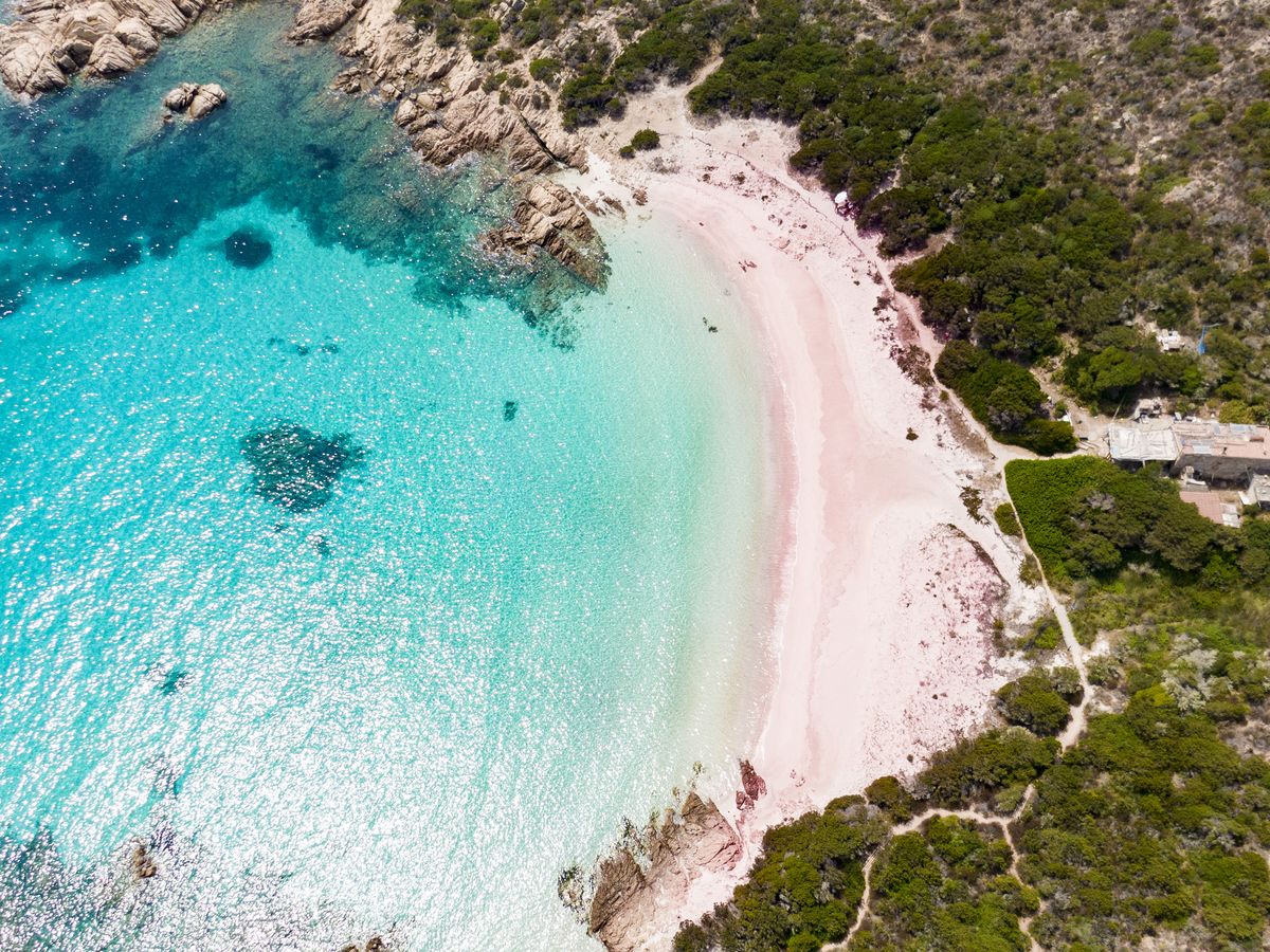 Rabatte, die Sie zufriedenstellen werden Pink beach Spiaggia strict $5000 $800 Rosa to Europe tourist 9Travel enforcing fines of in 