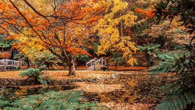 places to visit in victoria in autumn