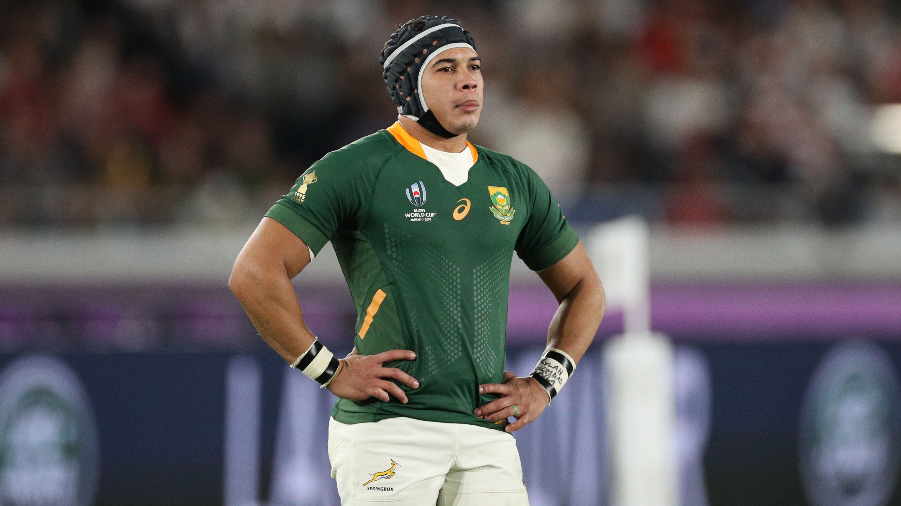 Springboks superstar ruled out of Wallabies Test