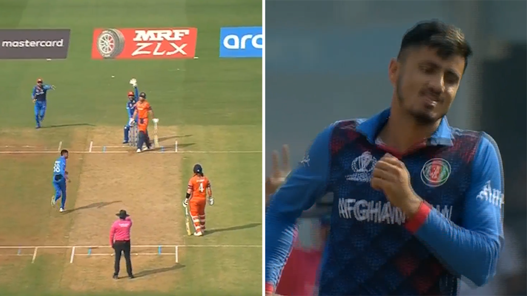 'Still dreaming': Big win over Netherlands keeps Afghanistan in hunt for Cricket World Cup semi-final spot