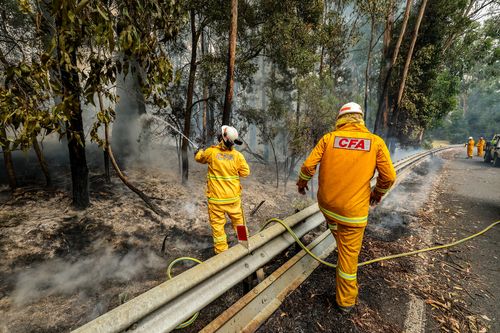 Incêndio no Rio Carlisle no Parque Nacional Otway. Os bombeiros apagaram incêndios na estrada Colac-Lavers Hill.