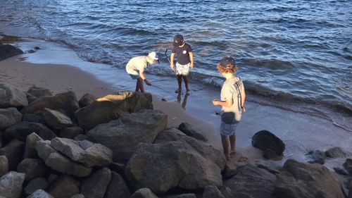 Jimmy and his friends were on the beach when they spotted the goanna. (Supplied)