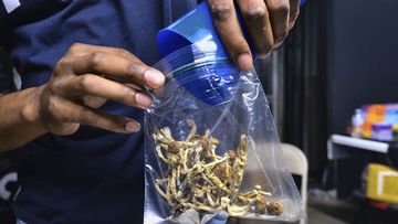 Voters in Oregon will decide on a measure that would legalise therapeutic, regulated use of psilocybin mushrooms.