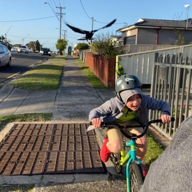 Boy swiped by magpie