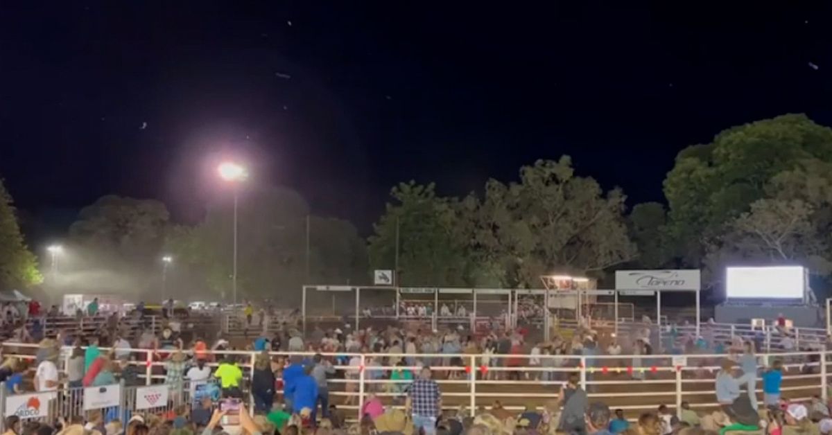 Bull runs into crowd at the Top End Mustering Rodeo in Kununurra, Western Australia