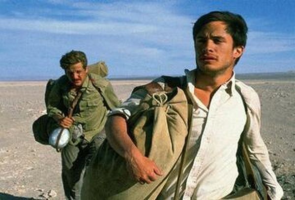 The Motorcycle Diaries