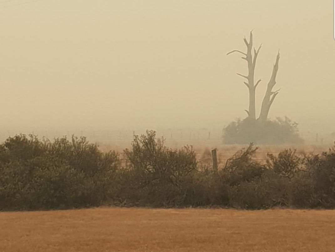 Braidwood fires.