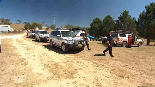 The search involved police officers, dogs, PolAir, paramedics, SES and Rural Fire Service volunteers. (9NEWS)