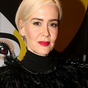 Sarah Paulson says friend's missing dog is back home safely