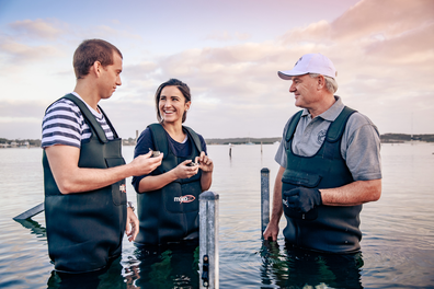 Coffin Bay oyster tours