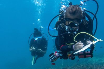 Conservation Diving in Bali