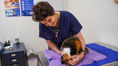 Veterinary nurse Saraid Smith caring for a cat