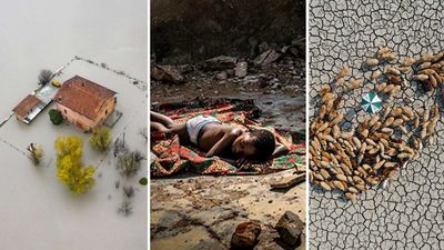 The entries for the Environmental Photographer of the Year competition were unveiled at the UN Climate Change Conference (COP26) in Glasgow.