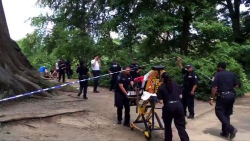 A man has been seriously injured after an explosion in Central Park. (Twitter)