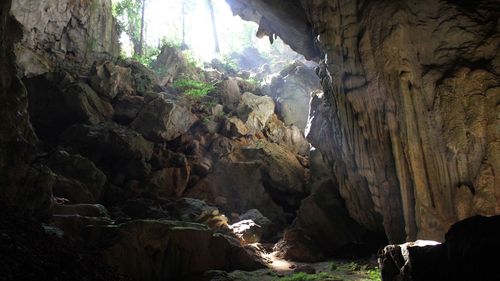 The archaeologists started digging in the cave more than a decade ago.