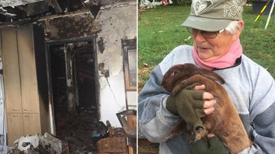 Boy saves family and rabbit from house fire
