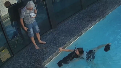 Adelaide woman jumps into pool to save clumsy pooch Shannon Tremaine May 2025