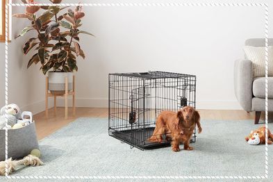 9PR: Amazon Basics Foldable Metal Wire Dog Crate with Tray