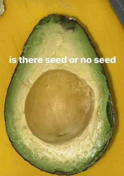 Avocado seed optical illusion